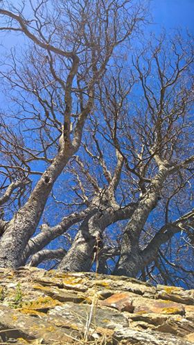 ND des Anges 10 16-12-17