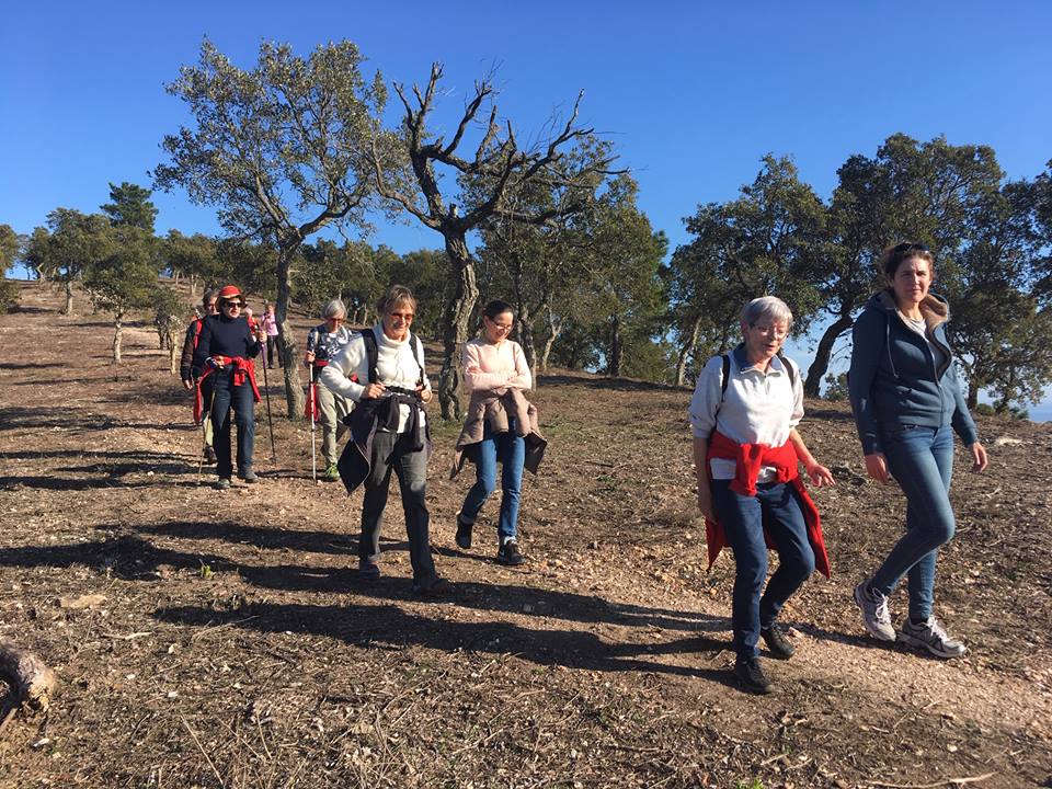 Belvedère de la Louve